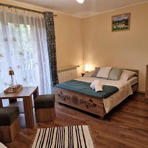 https://pokoje-gocinne-centrum-nowotarska.zakopanehotels.org